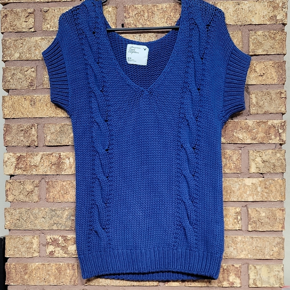 American Eagle Outfitters Blue V-Neck Sweater